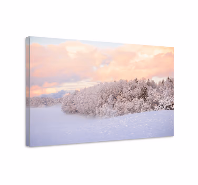 Quadro de paisagem serenidade inverno - TenStickers