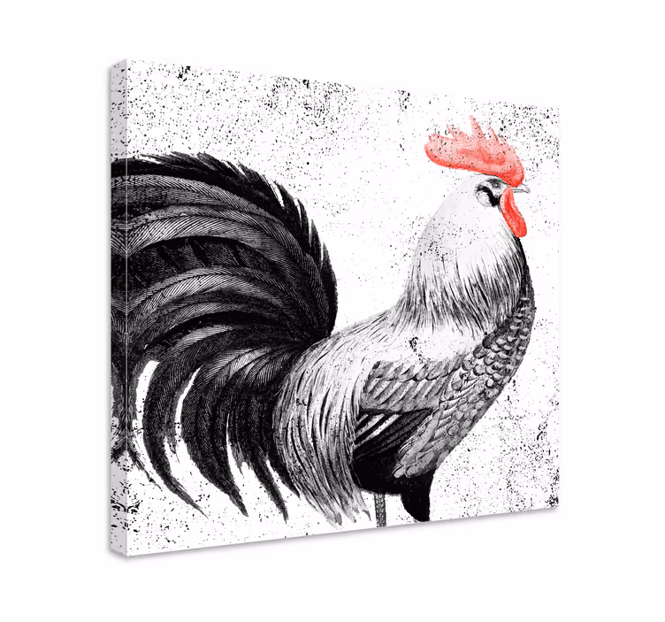 Quadro de pássaros Galo preto e vermelho - TenStickers