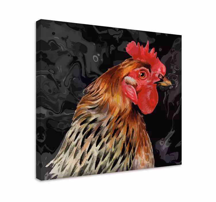Quadro de pássaros Galo multicolor em fundo preto - TenStickers