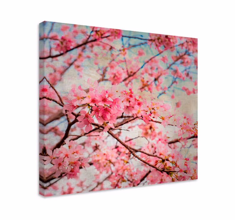 Quadro de flores flores de cerejeira - TenStickers