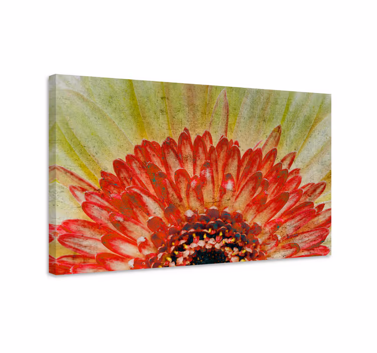 Quadro de flores detalhe vibrante de flores - TenStickers