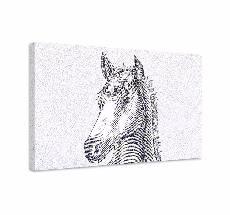 Quadro decorativo de cavalos esboço elegante de cavalos - TenStickers