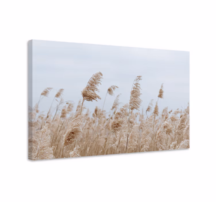 Quadro de flores brisa suave de grama - TenStickers