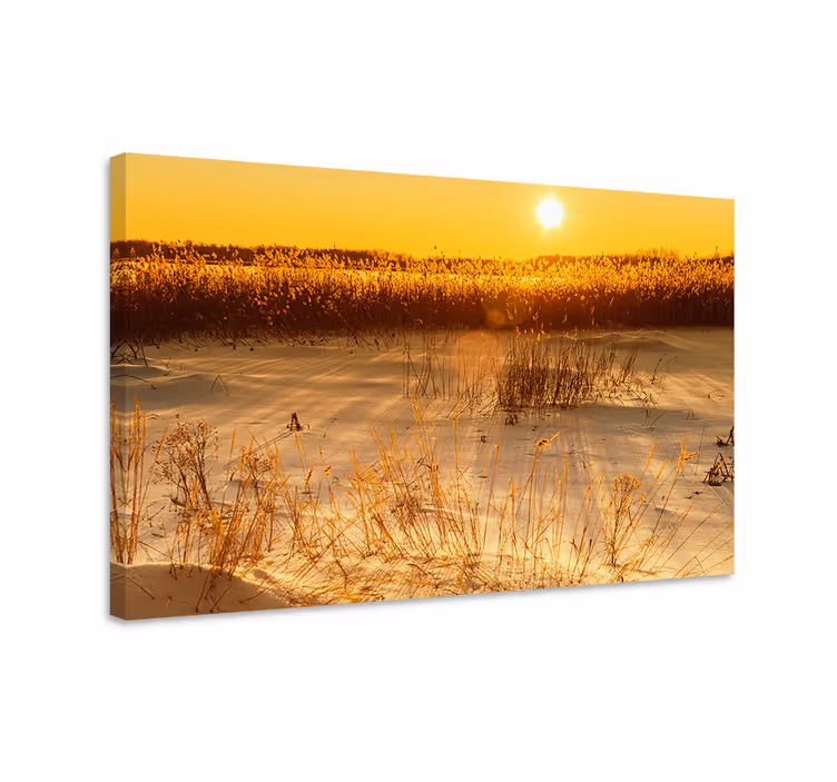 Quadro de paisagem amanhecer dourado - TenStickers