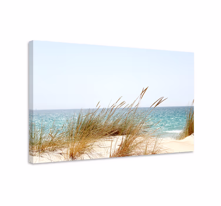 Quadro de plantas Grama de cana de praia - TenStickers