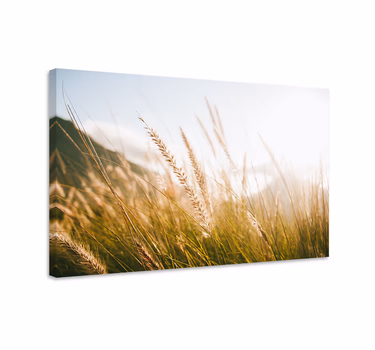 Quadro de flores campos de capim dourado - TenStickers