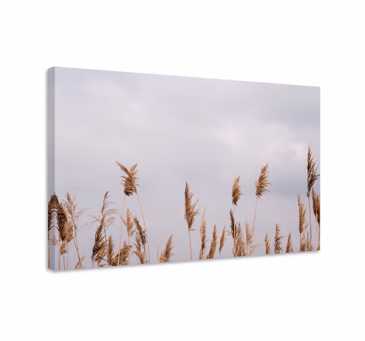 Quadro de flores com talos de grama alta - TenStickers