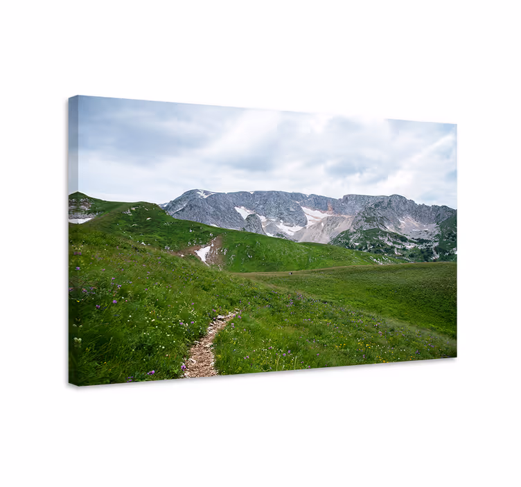 Quadro de paisagem caminho sereno na montanha - TenStickers