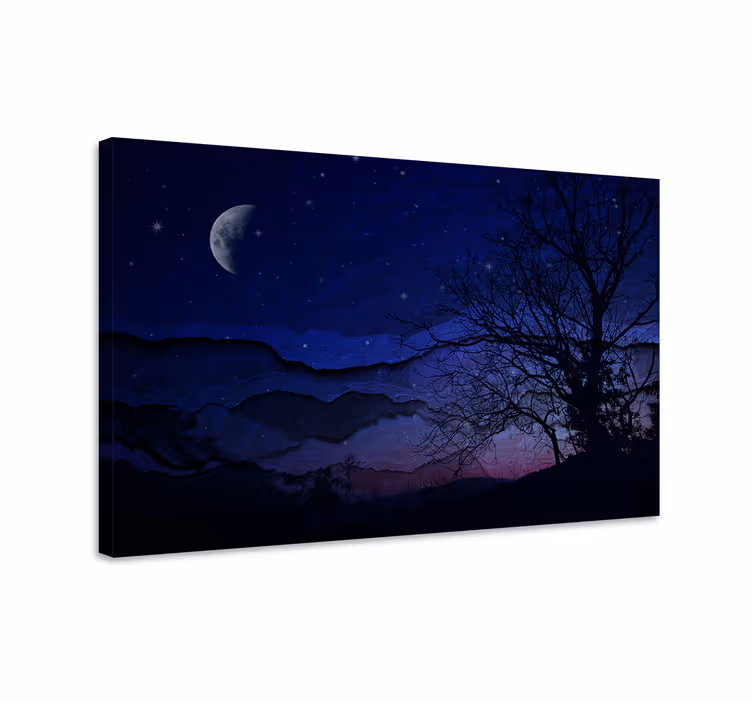 Quadro de paisage serenidade do céu noturno - TenStickers