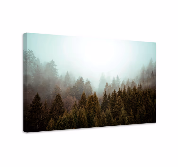 Quadro de paisagem visão da floresta nebulosa - TenStickers