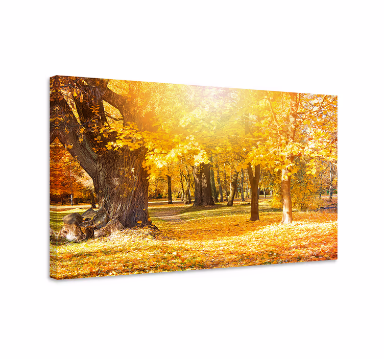 Quadro de árvores trilha da floresta no outono - TenStickers