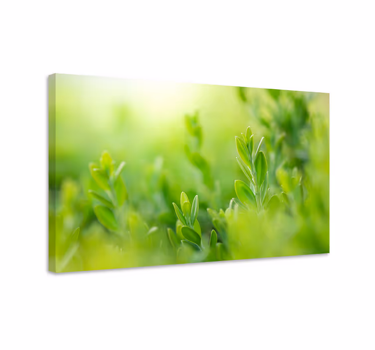 Quadro de flores verdejante em close-up - TenStickers