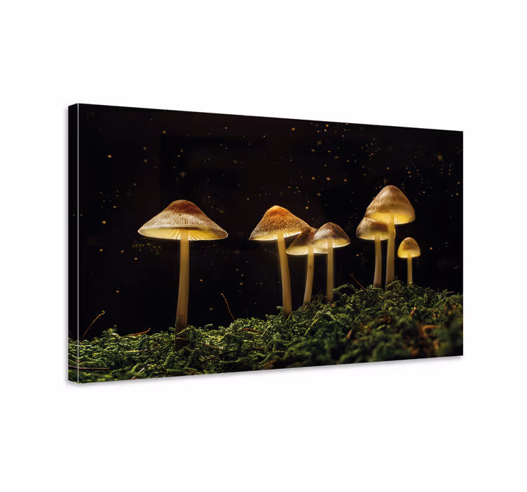 Quadro de flores cena de cogumelos brilhantes - TenStickers
