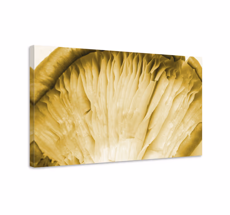 Quadro de flores brânquias de cogumelo - TenStickers