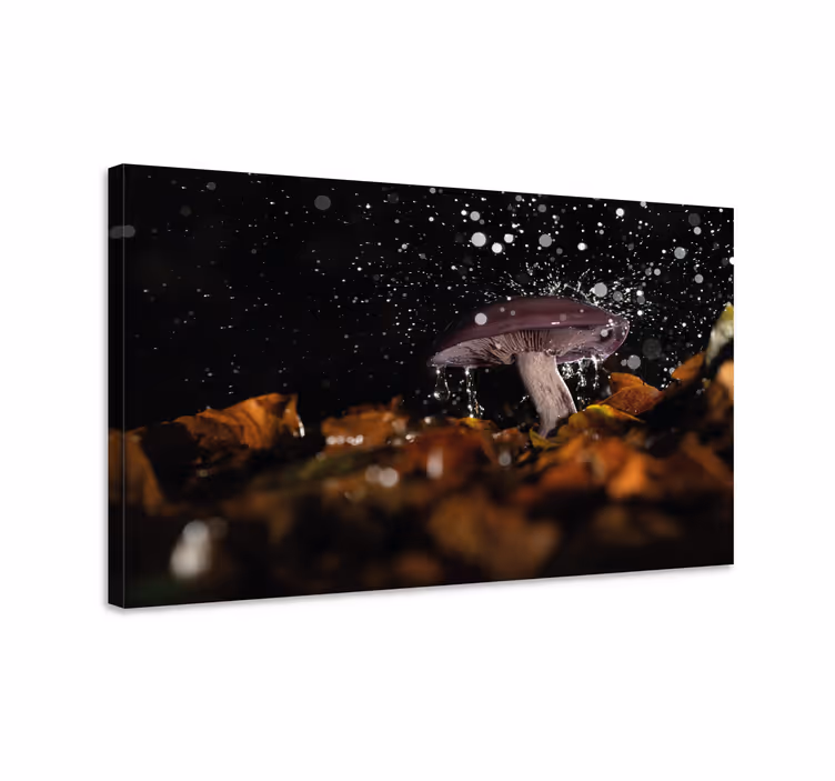 Quadro de flores splash de cogumelos - TenStickers