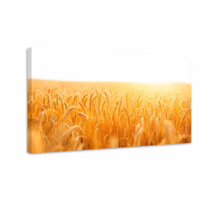 Quadro de flores campo de trigo dourado - TenStickers