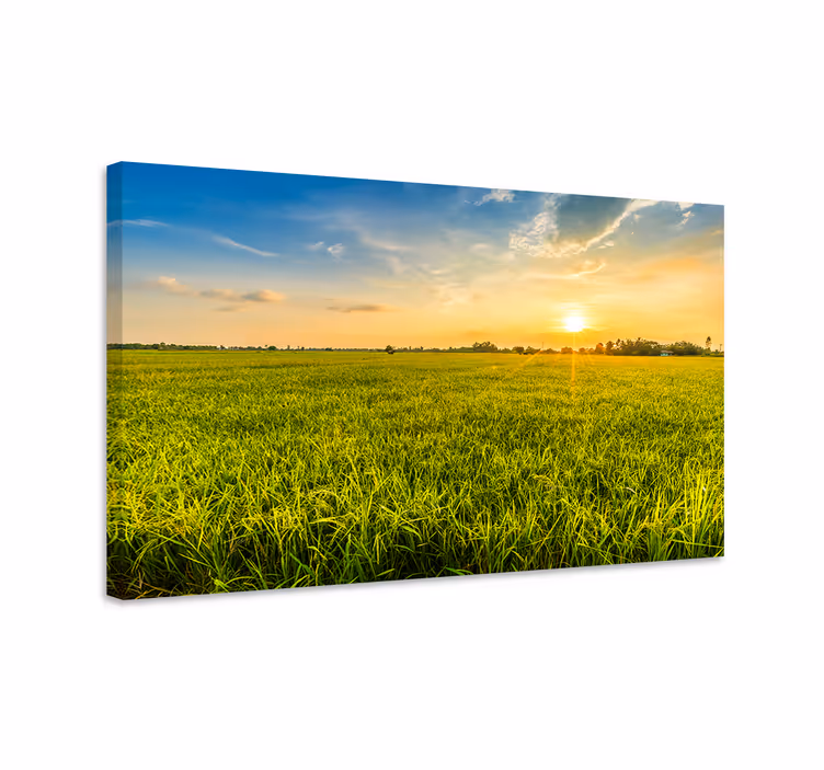 Quadro de paisage pôr do sol sobre os campos - TenStickers