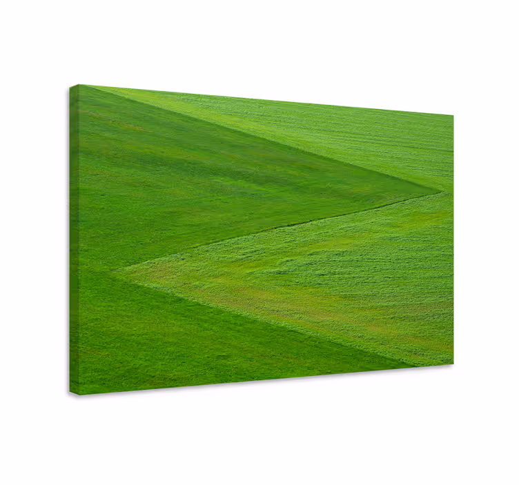 Quadro de paisagem terreno verdejante - TenStickers