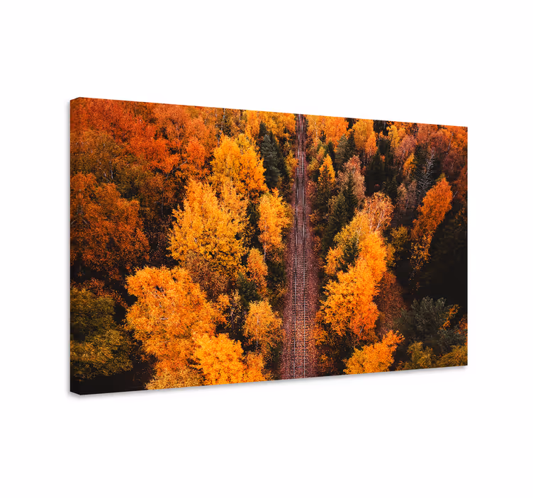 Quadro de paisagem caminho de folhas de outono - TenStickers