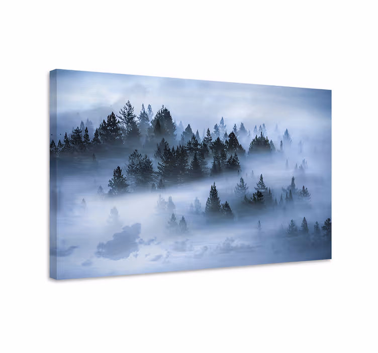 Quadro de paisagem floresta de pinheiros nebulosa - TenStickers