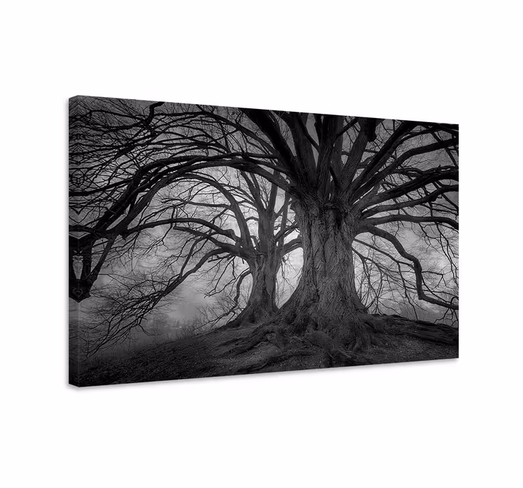 Quadro de árvores Árvores sem folhas misteriosas - TenStickers