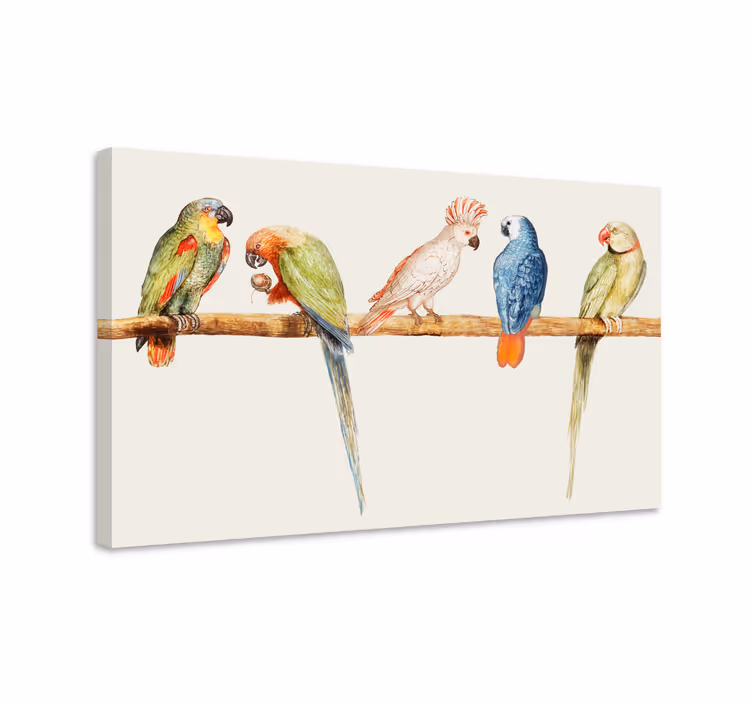Quadro de pássaros coleção de papagaios coloridos - TenStickers