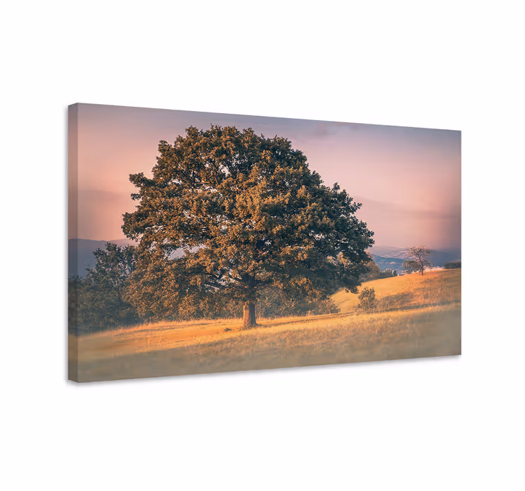 Quadro de paisage Estilo antigo cottagecore de árvore - TenStickers