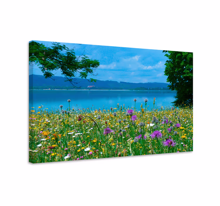 Quadro de flores paisagem de prado florescente - TenStickers
