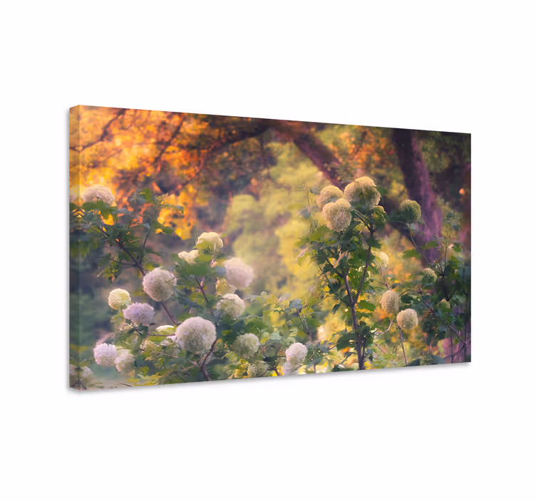 Quadro de flores flores da pradaria - TenStickers