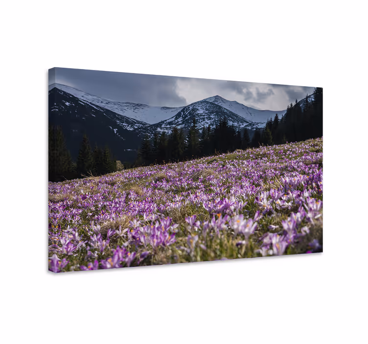 Quadro de flores campo de flores roxas - TenStickers