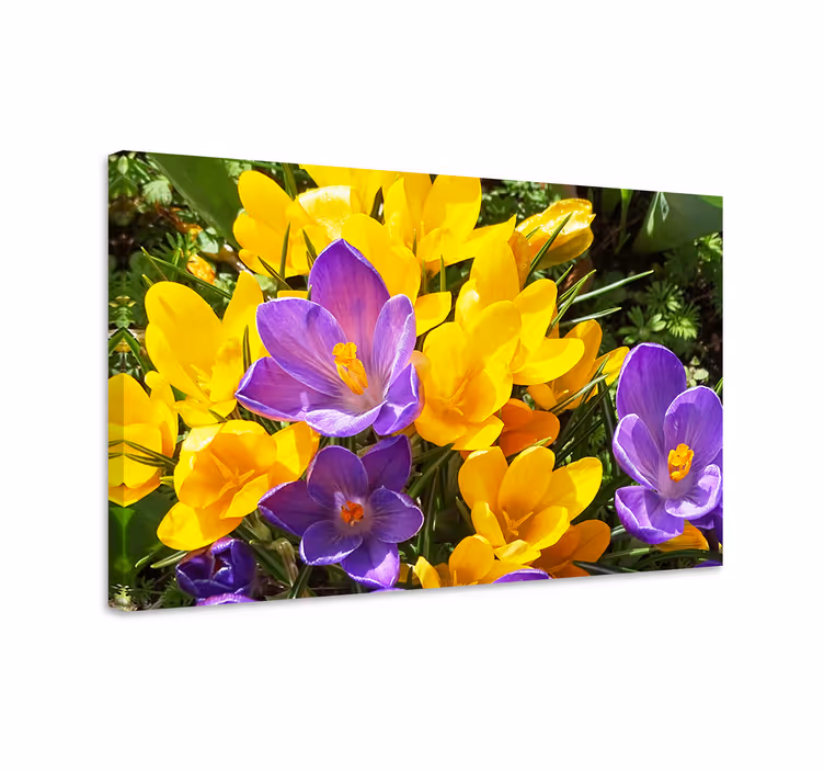 Quadro de flores flores coloridas da primavera - TenStickers