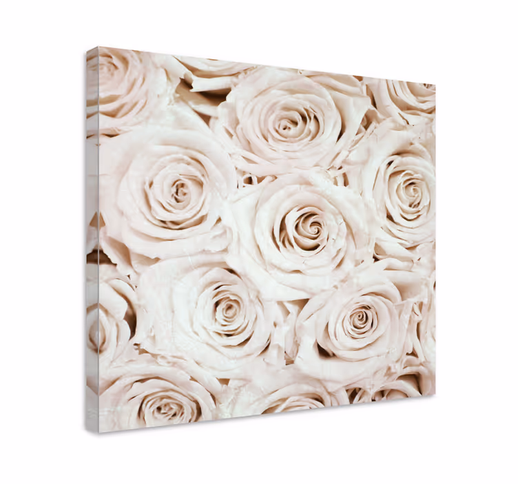 Quadro de flores flor de rosa suave - TenStickers