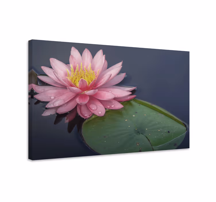 Quadro de flores flor de lótus - TenStickers