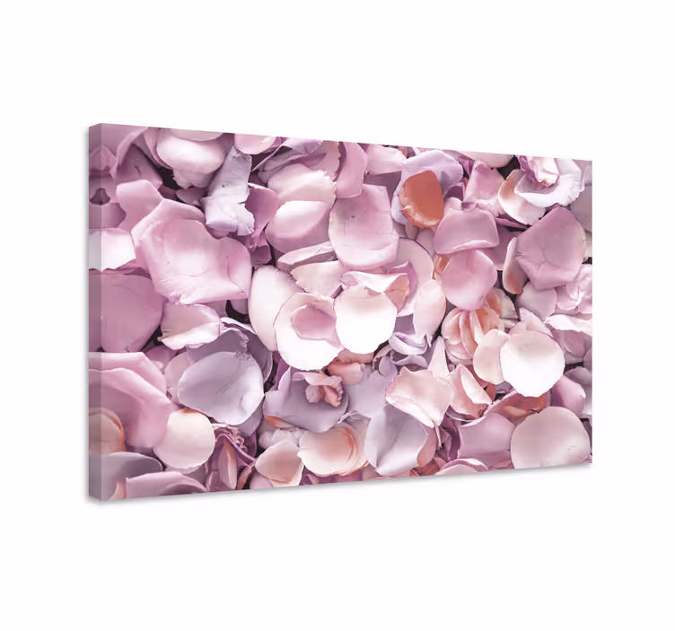 Quadro de flores coleção de pétalas de rosa - TenStickers