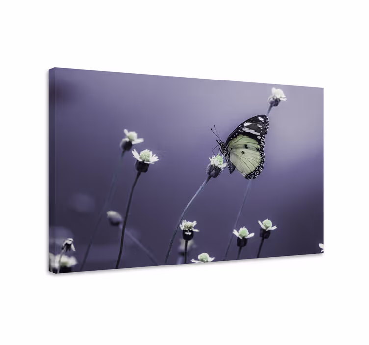 Quadro de borboletas borboleta entre flores - TenStickers