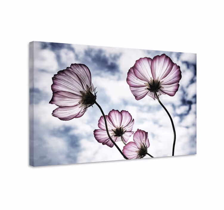 Quadro de flores produtoelegante de flores roxas cosmos - TenStickers
