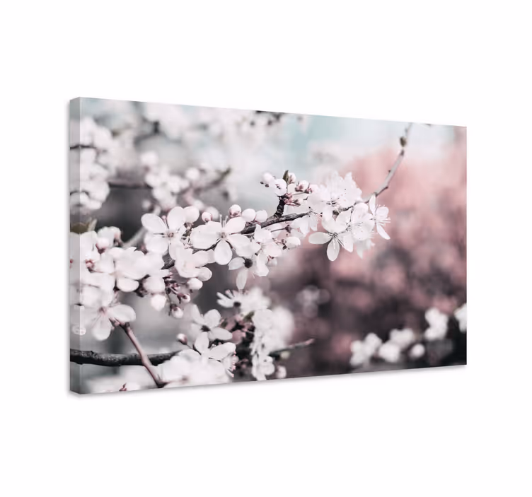 Quadro de flores flor de cerejeira branca - TenStickers