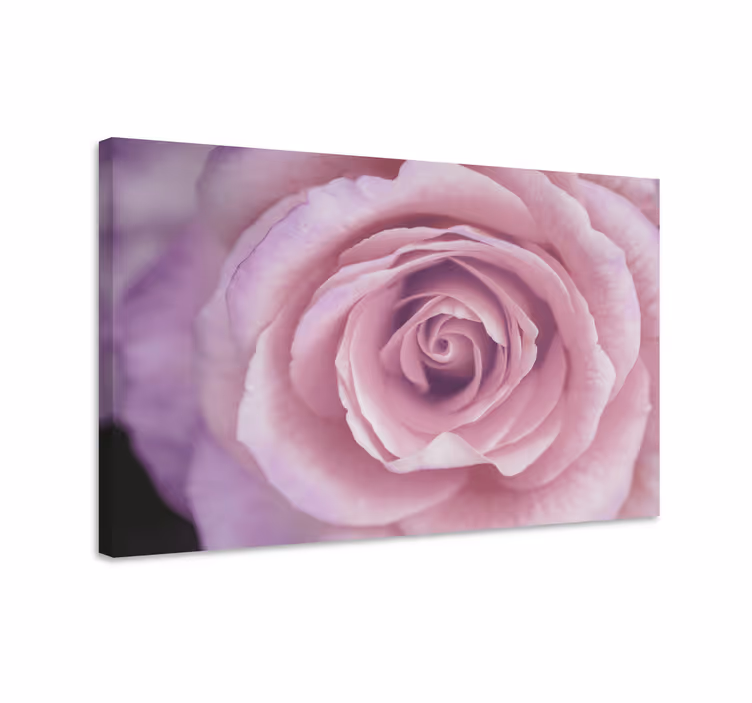 Quadro de flores detalhe floral rosa - TenStickers
