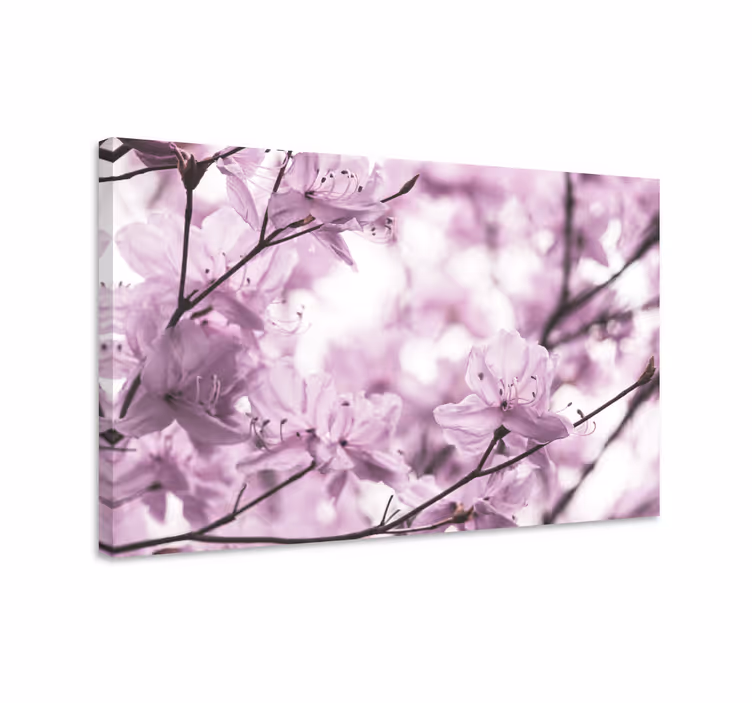 Quadro de flores flores florais delicadas - TenStickers