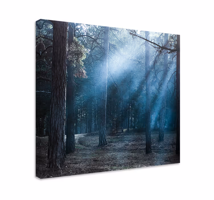Quadro de paisage trilha nebulosa na floresta - TenStickers