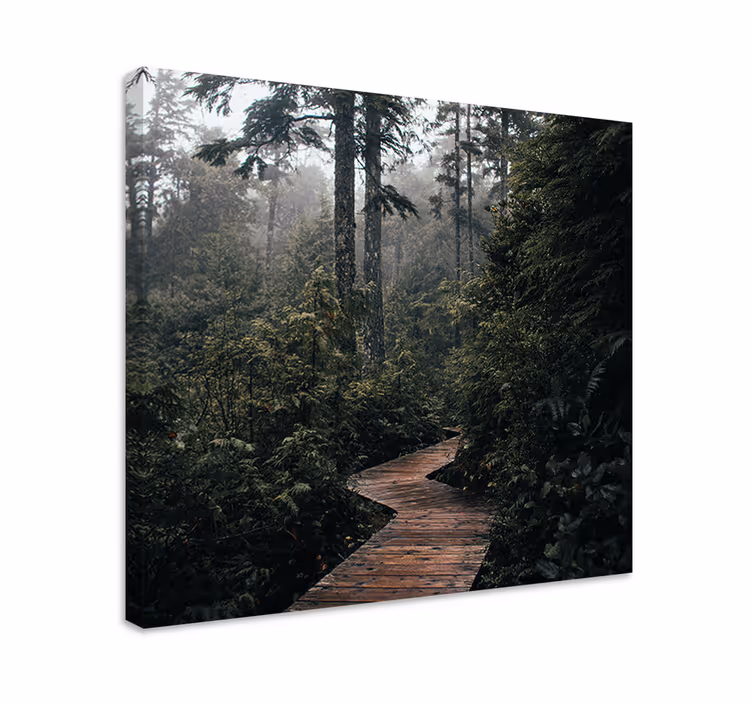 Quadro de paisagem trilha silenciosa na floresta - TenStickers
