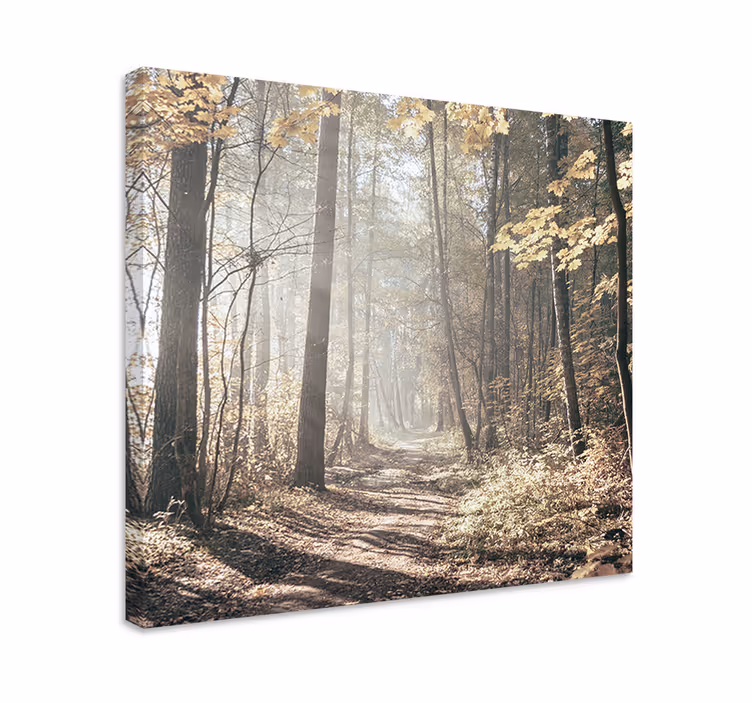 Quadro de paisagem caminho coberto de névoa - TenStickers