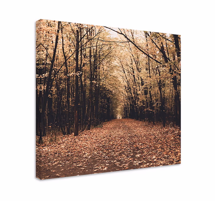 Quadro de paisagem cena de caminho no outono - TenStickers