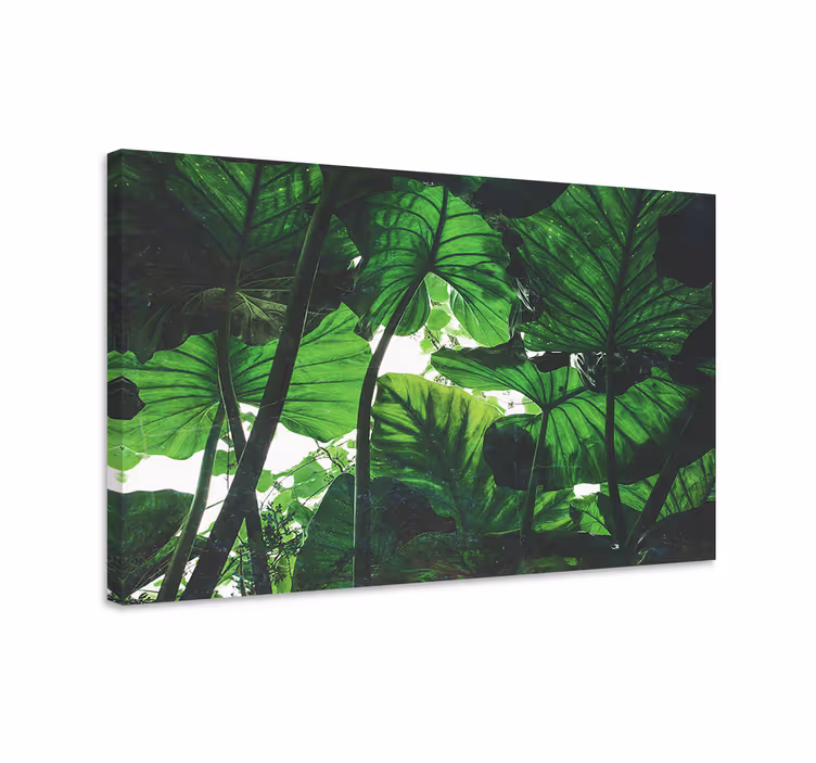 Quadro de flores cobertura de folhas tropicais - TenStickers