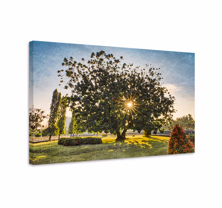 Quadro de árvores silhueta de Árvore majestosa - TenStickers
