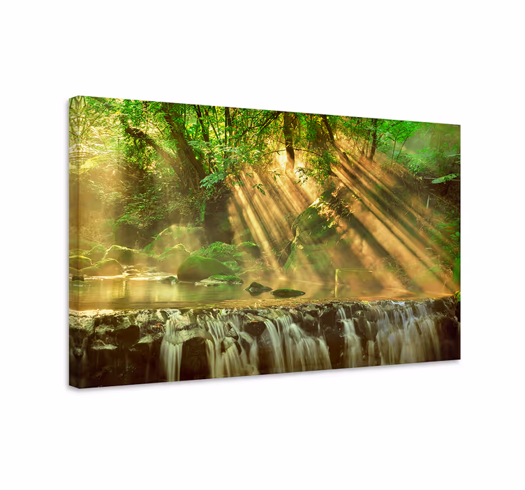Quadro de paisagem ribeira da floresta iluminada - TenStickers