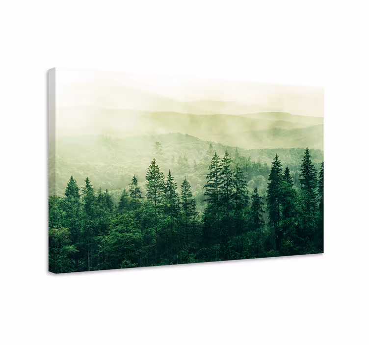 Quadro de paisage Copas das árvores da floresta verde - TenStickers