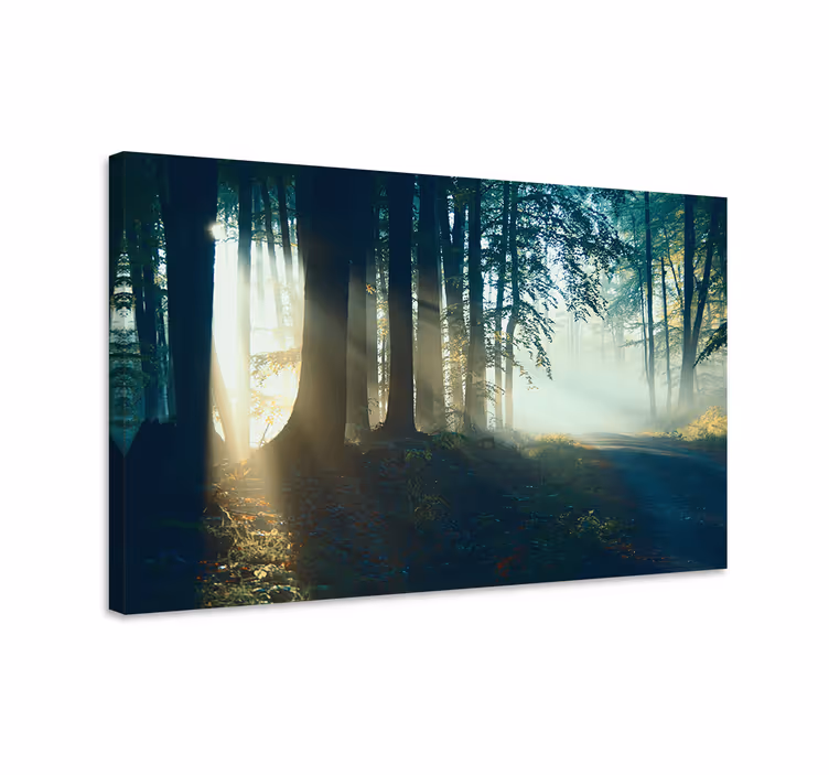 Quadro de paisagem trilha nublada na floresta - TenStickers