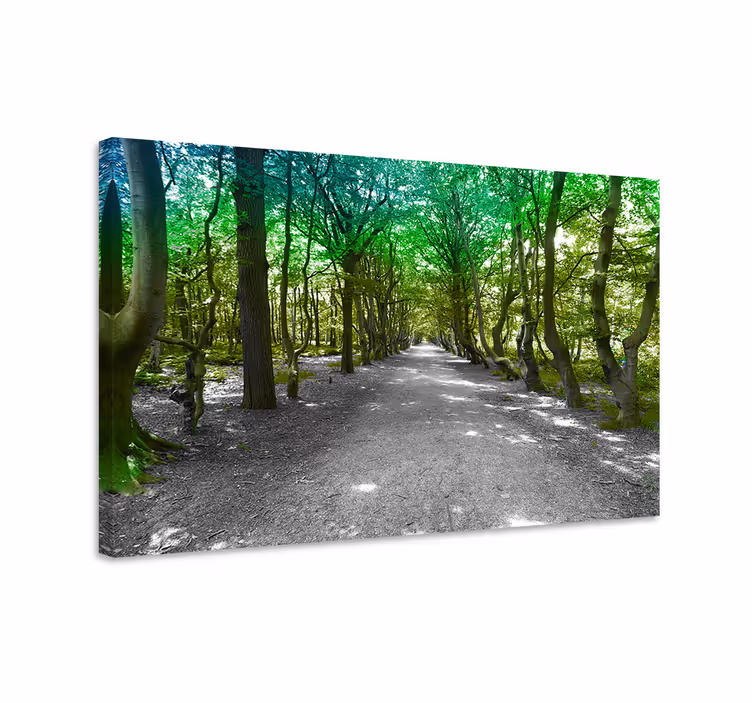 Quadro de árvores caminho da floresta verdejante - TenStickers