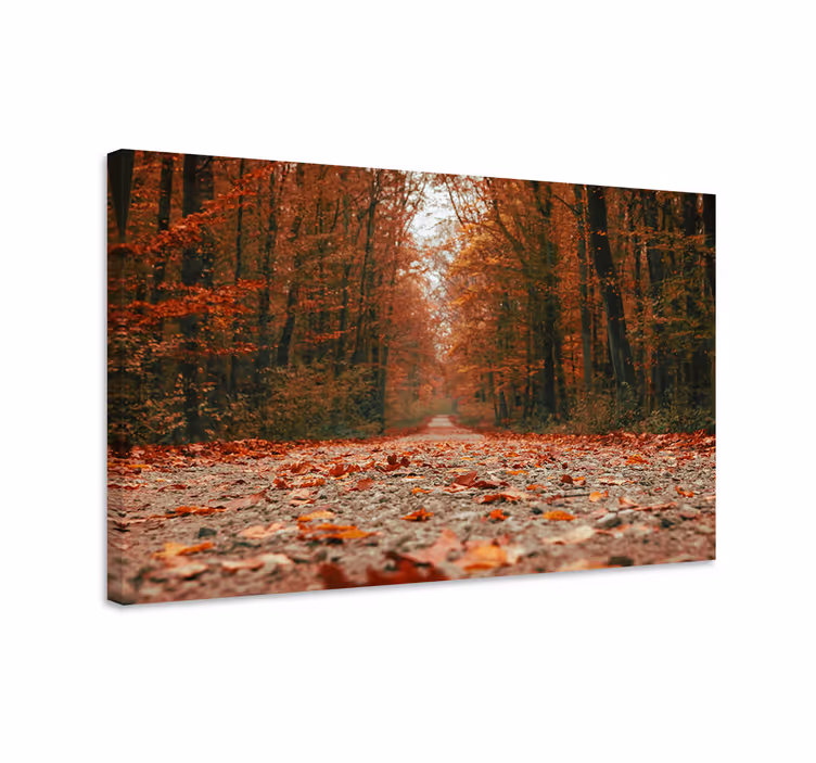 Quadro de paisagem trilha de outono - TenStickers